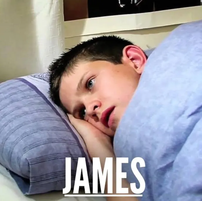 James (2008)